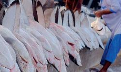 เดฆเตเดฌเดฏเดฟเดฒเตโ 1.7 เดเดฃเตโ เดฎเดฒเตโเดธเตเดฏเด เดชเดฟเดเดฟเดเตเดเดฟ เดฆเตเดฌเดฏเดฟเดฒเตโ 1.7 เดเดฃเตโ เดฎเดฒเตโเดธเตเดฏเด เดชเดฟเดเดฟเดเตเดเดฟ