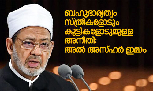 ബഹുഭാര്യത്വം സ്ത്രീകളോടും കുട്ടികളോടുമുള്ള അനീതി: അല്‍ അസ്ഹര്‍ ഇമാം