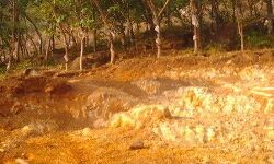 കൃഷിയോഗ്യമല്ലാത്ത ഭൂമിയില്‍ ഖനനം നടത്താന്‍ മന്ത്രിസഭയുടെ അനുമതി