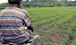 เดตเดฏเดจเดพเดเตเดเดฟเดฒเตโ 900 เดเดฐเตโเดทเด เดเตเดเตเดเดฌเดเตเดเดณเตโ เดเดชเตเดคเดฟ เดญเตเดทเดฃเดฟเดฏเดฟเดฒเตโ เดตเดฏเดจเดพเดเตเดเดฟเดฒเตโ 900 เดเดฐเตโเดทเด เดเตเดเตเดเดฌเดเตเดเดณเตโ เดเดชเตเดคเดฟ เดญเตเดทเดฃเดฟเดฏเดฟเดฒเตโ