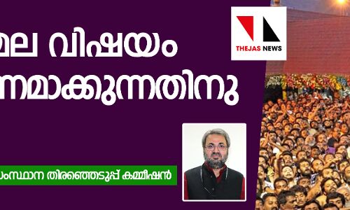 ശബരിമല വിഷയം പ്രചാരണമാക്കുന്നതിനു വിലക്ക്‌