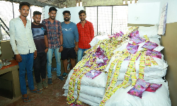 പെരിന്തല്‍മണ്ണയില്‍ വന്‍  ലഹരി മരുന്ന്  വേട്ട