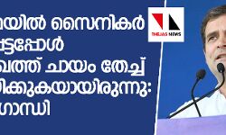 പുല്‍വാമയില്‍ സൈനികര്‍ കൊല്ലപ്പെട്ടപ്പോള്‍ മോദി മുഖത്ത് ചായം തേച്ച് അഭിനയിക്കുകയായിരുന്നു: രാഹുല്‍ ഗാന്ധി
