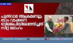 പുല്‍വാമ ആക്രമണല്ല; ടോം വടക്കനെ ബിജെപിയിലെത്തിച്ചത് സീറ്റ് മോഹം