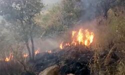 เดฎเดฒเตเดฒเตเดถเตเดตเดฐเดจเตโเดฎเตเดเดฟเดฏเดฟเดฒเตโ เดเดพเดเตเดเตเดคเต: เดตเดจเดเดตเดเตเดชเตเดชเต เดนเตเดฒเดฟเดเตเดชเตเดฑเตเดฑเดฐเตโ เดธเดนเดพเดฏเด เดคเตเดเดฟ เดฎเดฒเตเดฒเตเดถเตเดตเดฐเดจเตโเดฎเตเดเดฟเดฏเดฟเดฒเตโ เดเดพเดเตเดเตเดคเต: เดตเดจเดเดตเดเตเดชเตเดชเต เดนเตเดฒเดฟเดเตเดชเตเดฑเตเดฑเดฐเตโ เดธเดนเดพเดฏเด เดคเตเดเดฟ