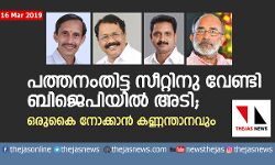 പത്തനംതിട്ട സീറ്റിനു വേണ്ടി ബിജെപിയില്‍ അടി; ഒരുകൈ നോക്കാന്‍ കണ്ണന്താനവും