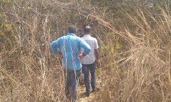 เดชเตเดฒเดฟ เดญเตเดคเดฟเดฏเดฟเดฒเตโ เดชเดเตเดเดฟเดเตเดเดพเดเตเด เดฎเดฃเตเดฃเดพเดฐเตโเดฎเดฒเดฏเตเด; เดตเดจเดเดตเดเตเดชเตเดชเต เดเดฆเตเดฏเตเดพเดเดธเตเดฅเดฐเตโ เดชเดฐเดฟเดถเตเดงเดจ เดจเดเดคเตเดคเดฟ เดชเตเดฒเดฟ เดญเตเดคเดฟเดฏเดฟเดฒเตโ เดชเดเตเดเดฟเดเตเดเดพเดเตเด เดฎเดฃเตเดฃเดพเดฐเตโเดฎเดฒเดฏเตเด; เดตเดจเดเดตเดเตเดชเตเดชเต เดเดฆเตเดฏเตเดพเดเดธเตเดฅเดฐเตโ เดชเดฐเดฟเดถเตเดงเดจ เดจเดเดคเตเดคเดฟ