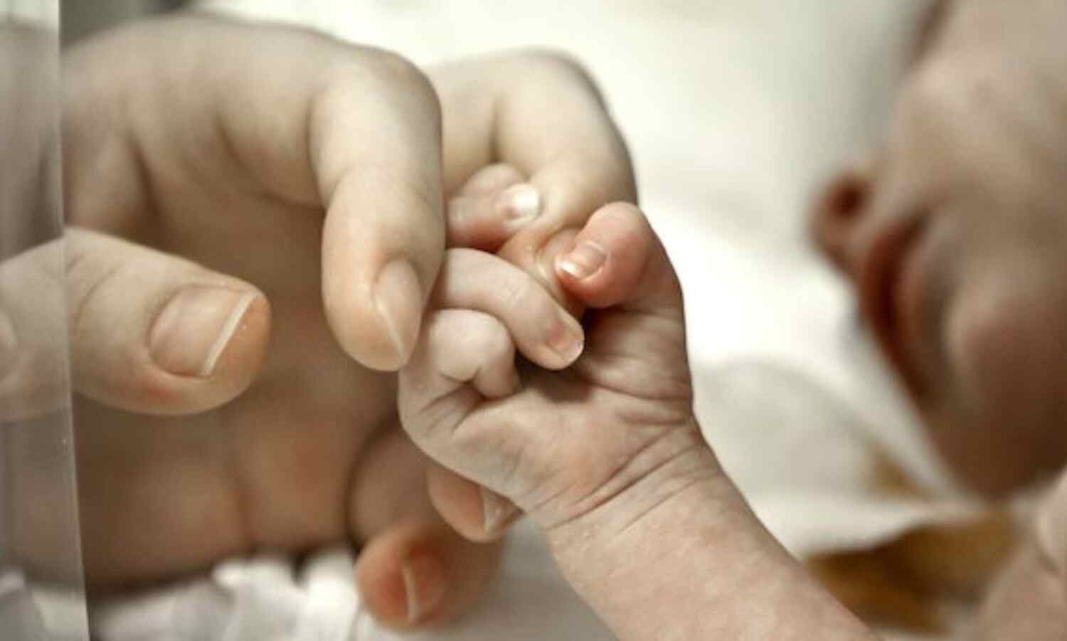 പ്രസവവേളയില് ഉടലില്നിന്നു തല വേര്പെട്ട് നവജാതശിശു മരിച്ചു പ്രസവവേളയില് ഉടലില്നിന്നു തല വേര്പെട്ട് നവജാതശിശു മരിച്ചു