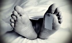 เดฏเตเดต เดเตเดฐเดฟเดเตเดเดฑเตเดฑเต เดคเดพเดฐเด เดเดณเดฟเดเตเดเดฟเดเต เดฎเดฐเดฟเดเตเดเต เดฏเตเดต เดเตเดฐเดฟเดเตเดเดฑเตเดฑเต เดคเดพเดฐเด เดเดณเดฟเดเตเดเดฟเดเต เดฎเดฐเดฟเดเตเดเต