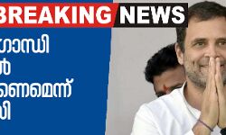 രാഹുലിന്റെ വരവോടെ കേരളത്തില്‍ എല്‍ഡിഎഫിന്റെ പ്രസക്തി നഷ്ടപ്പെട്ടു: കെ മുരളീധരന്‍