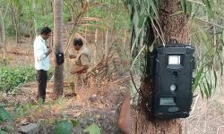 പെരിന്തല്മണ്ണ പട്ടിക്കാട്ടെ പുലി ഭീതി; വനംവകുപ്പ് കാമറകള് സ്ഥാപിച്ചു പെരിന്തല്മണ്ണ പട്ടിക്കാട്ടെ പുലി ഭീതി; വനംവകുപ്പ് കാമറകള് സ്ഥാപിച്ചു