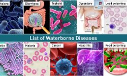ജലജന്യരോഗങ്ങള്‍ക്ക് സാധ്യത; ജല, പരിസര ശുചിത്വം ഉറപ്പാക്കണം