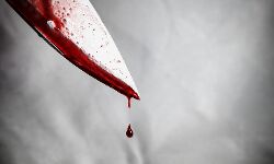 തലസ്ഥാനത്തെ ഭീതിയിലാക്കി വീണ്ടും കൊലപാതകം; പ്രതിക്കായി പോലിസ് അന്വേഷണം വ്യാപിപ്പിച്ചു