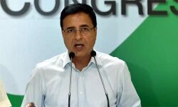 വയനാടിന്റെ കാര്യത്തില് രാഹുല് തീരുമാനമെടുത്തിട്ടില്ലെന്ന് എഐസിസി വയനാടിന്റെ കാര്യത്തില് രാഹുല് തീരുമാനമെടുത്തിട്ടില്ലെന്ന് എഐസിസി