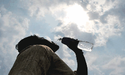 സൂര്യതാപം, വരള്ച്ച: ഉന്നതതലത്തില് മൂന്ന് ടാസ്ക് ഫോഴ്സുകള് സൂര്യതാപം, വരള്ച്ച: ഉന്നതതലത്തില് മൂന്ന് ടാസ്ക് ഫോഴ്സുകള്