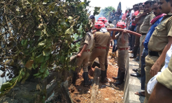 കോഴിക്കോട് റെയില്‍വേ പ്ലാറ്റ്‌ഫോമിന്  സമീപം തീപിടിത്തം