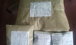 കുറ്റിക്കാട്ടില്‍ ഒളിപ്പിച്ച നിലയില്‍ 850 ഗ്രാം കഞ്ചാവ് കണ്ടെടുത്തു