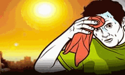 പെരിന്തല്മണ്ണയില് പഞ്ചായത്ത് ജീവനക്കാരന് സൂര്യതപമേറ്റു പെരിന്തല്മണ്ണയില് പഞ്ചായത്ത് ജീവനക്കാരന് സൂര്യതപമേറ്റു