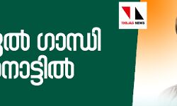 അനിശ്ചിതത്വങ്ങള്‍ക്ക് വിരാമം;  വയനാട്ടില്‍ രാഹുല്‍ തന്നെ