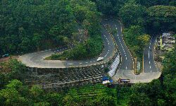 താമരശ്ശേരി ചുരത്തില്‍ ഗതാഗതം നിലച്ചു