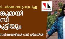 സിവില്‍ സര്‍വീസ് പരീക്ഷാഫലം പ്രഖ്യാപിച്ചു; 410ാം റാങ്കുമായി ആദിവാസി പെണ്‍കുട്ടിയും