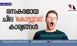 രസകരമായ ചില കോട്ടുവാ കാര്യങ്ങള് രസകരമായ ചില കോട്ടുവാ കാര്യങ്ങള്