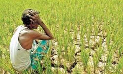 കര്ഷകരുടെ വായ്പകള്ക്കുള്ള മൊറട്ടോറിയം വൈകും കര്ഷകരുടെ വായ്പകള്ക്കുള്ള മൊറട്ടോറിയം വൈകും
