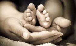 เดฎเตเดฒเดชเตเดชเดพเดฒเตโ เดคเตเดฃเตเดเดฏเดฟเดฒเตโ เดเตเดฐเตเดเตเดเดฟ 4 เดฎเดพเดธเด เดชเตเดฐเดพเดฏเดฎเตเดณเตเดณ เดเตเดเตเดเต เดฎเดฐเดฟเดเตเดเต เดฎเตเดฒเดชเตเดชเดพเดฒเตโ เดคเตเดฃเตเดเดฏเดฟเดฒเตโ เดเตเดฐเตเดเตเดเดฟ 4 เดฎเดพเดธเด เดชเตเดฐเดพเดฏเดฎเตเดณเตเดณ เดเตเดเตเดเต เดฎเดฐเดฟเดเตเดเต