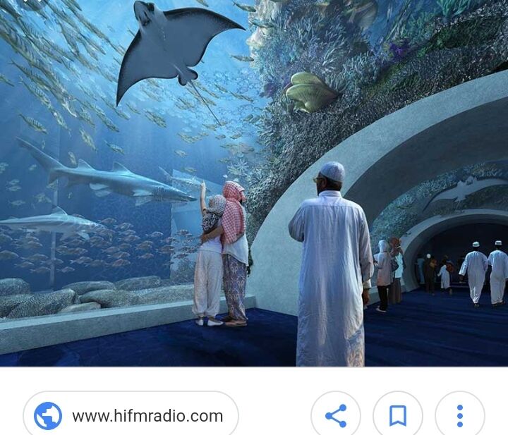 പശ്ചിമേഷ്യയിലെ ഏറ്റവും വലിയ അക്വേറിയം ഉള്പ്പെടുന്ന മാള് ഒമാനില് പശ്ചിമേഷ്യയിലെ ഏറ്റവും വലിയ അക്വേറിയം ഉള്പ്പെടുന്ന മാള് ഒമാനില്