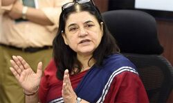 മുസ്‌ലിം വോട്ടര്‍മാരെ ഭീഷണിപ്പെടുത്തി മനേക ഗാന്ധി;  വോട്ട് ചെയ്തില്ലെങ്കില്‍ കാര്യങ്ങള്‍ സുഖകരമായിരിക്കില്ല