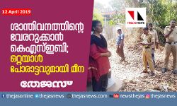 ശാന്തിവനത്തിന്റെ വേരറുക്കാന്‍ കെഎസ്ഇബി;  ഒറ്റയാള്‍ പോരാട്ടവുമായി മീന