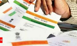 7.8 കോടി ആളുകളുടെ ആധാര്‍ വിവരങ്ങള്‍ ചോര്‍ത്തി; ആന്ധ്രയില്‍ ഐടി കമ്പനിക്കെതിരേ കേസ്