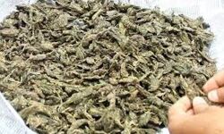 തൃശൂര്‍ റെയില്‍വേ സ്‌റ്റേഷനില്‍ 316 കിലോ കഞ്ചാവ് പിടികൂടി