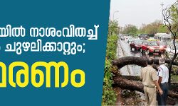 ഉത്തരേന്ത്യയില്‍ നാശംവിതച്ച്  പേമാരിയും ചുഴലിക്കാറ്റും; 31 മരണം