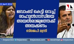 ബോംബ് കെട്ടി വെച്ച് രാഹുല്‍ഗാന്ധിയെ  അയല്‍രാജ്യത്തേക്ക് അയക്കണം: ബിജെപി മന്ത്രി