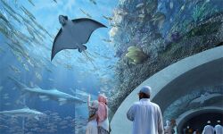 മാള്‍ ഓഫ് മസ്‌കത്ത് അക്വേറിയം ടിക്കറ്റ് നിരക്ക് കുറച്ചു