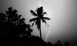 കേരളത്തില് മിന്നലോട് കൂടിയ മഴയ്ക്കും ഉരുള്പൊട്ടലിനും സാധ്യത കേരളത്തില് മിന്നലോട് കൂടിയ മഴയ്ക്കും ഉരുള്പൊട്ടലിനും സാധ്യത