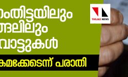 ആറ്റിങ്ങലിലും പത്തനംതിട്ടയിലും ഇരട്ടവോട്ടുകള്‍