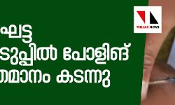 മൂന്നാംഘട്ട വോട്ടെടുപ്പില് പോളിങ് 64 ശതമാനം കടന്നു മൂന്നാംഘട്ട വോട്ടെടുപ്പില് പോളിങ് 64 ശതമാനം കടന്നു