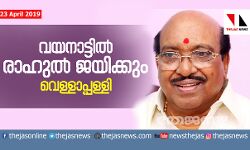 വയനാട്ടില്‍ രാഹുല്‍ ജയിക്കും: വെള്ളാപ്പള്ളി