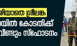 ഭീതിയൊഴിയാതെ ശ്രീലങ്ക; പുഗോഡയില്‍ കോടതിക്ക് പിന്നില്‍ വീണ്ടും സ്‌ഫോടനം