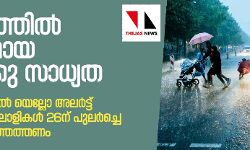 കേരളത്തിൽ ശക്തമായ മഴയ്ക്ക് സാധ്യത; നാലു ജില്ലകളിൽ യെല്ലോ അലർട്ട്