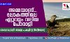 അമ്മയാണ്...ലോകത്തിലെ ഏറ്റവും വലിയ പോരാളി  വൈറലായി അമ്മ പക്ഷി (വീഡിയോ)