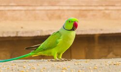 เดเดตเดฟเดเด เดธเตเดเตเดทเดฟเดเตเด เดธเตโเดเตเดฐเตเดพเดเต เดฑเตเดฎเดฟเดจเตเดฑเต เดตเดพเดคเดฟเดฒเดฟเดจเต เดเตเดเตเดชเดพเดเต; เดชเตเดฐเดคเดฟ เดคเดคเตเดคเดฏเตเดจเตเดจเต เด
เดงเดฟเดเตเดคเดฐเตโ เดเดตเดฟเดเด เดธเตเดเตเดทเดฟเดเตเด เดธเตโเดเตเดฐเตเดพเดเต เดฑเตเดฎเดฟเดจเตเดฑเต เดตเดพเดคเดฟเดฒเดฟเดจเต เดเตเดเตเดชเดพเดเต; เดชเตเดฐเดคเดฟ เดคเดคเตเดคเดฏเตเดจเตเดจเต เด
เดงเดฟเดเตเดคเดฐเตโ