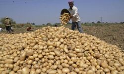 เดชเตเดฐเดคเดฟเดทเตเดงเด เดถเดเตเดคเด; เดเดฐเตโเดทเดเดฐเตโเดเตเดเต เดฎเตเดจเตเดจเดฟเดฒเตโ เดชเตเดชเตโเดธเดฟเดเต เดเตเดดเดเดเตเดเตเดจเตเดจเต เดชเตเดฐเดคเดฟเดทเตเดงเด เดถเดเตเดคเด; เดเดฐเตโเดทเดเดฐเตโเดเตเดเต เดฎเตเดจเตเดจเดฟเดฒเตโ เดชเตเดชเตโเดธเดฟเดเต เดเตเดดเดเดเตเดเตเดจเตเดจเต