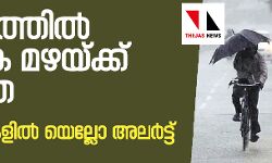 കേരളത്തില്‍ വ്യാപക മഴയ്ക്ക് സാധ്യത; എട്ട് ജില്ലകളില്‍ യെല്ലോ അലര്‍ട്ട്