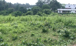 เดญเตเดฎเดฟเดฏเตเดเต เดจเตเดฏเดพเดฏเดตเดฟเดฒ เดตเดฐเตโเดงเดจเดตเต เดชเตเดฐเดพเดฌเดฒเตเดฏเดคเตเดคเดฟเดฒเตโ เดญเตเดฎเดฟเดฏเตเดเต เดจเตเดฏเดพเดฏเดตเดฟเดฒ เดตเดฐเตโเดงเดจเดตเต เดชเตเดฐเดพเดฌเดฒเตเดฏเดคเตเดคเดฟเดฒเตโ