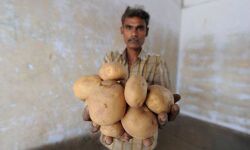 เดเดฐเตเดณเดเตเดเดฟเดดเดเตเดเต เดเดฐเตโเดทเดเดฐเตโเดเตเดเตเดคเดฟเดฐเตเดฏเตเดณเตเดณ เดชเดพเดฑเตเดฑเดจเตเดฑเต เดเตเดธเต เดชเตเดชเตโเดธเดฟเดเต เดชเดฟเดจเตโเดตเดฒเดฟเดเตเดเต เดเดฐเตเดณเดเตเดเดฟเดดเดเตเดเต เดเดฐเตโเดทเดเดฐเตโเดเตเดเตเดคเดฟเดฐเตเดฏเตเดณเตเดณ เดชเดพเดฑเตเดฑเดจเตเดฑเต เดเตเดธเต เดชเตเดชเตโเดธเดฟเดเต เดชเดฟเดจเตโเดตเดฒเดฟเดเตเดเต