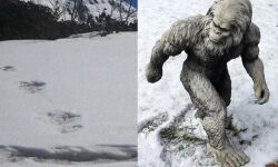 അത് യെതിയല്ല, കരടി; ഇന്ത്യന്‍ സൈന്യത്തിന്റെ അവകാശവാദം തള്ളി നേപ്പാള്‍