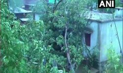 เดเดกเตเดทเดฏเดฟเดฒเตโ เดจเดพเดถเดจเดทเตเดเด เดตเดฟเดคเดเตเดเต เดซเตเดจเดฟ; เดคเตเดตเตเดฐเดค เดเตเดฑเดเตเดเต เดฌเดเดเดพเดณเดฟเดฒเตเดเตเดเต (video) เดเดกเตเดทเดฏเดฟเดฒเตโ เดจเดพเดถเดจเดทเตเดเด เดตเดฟเดคเดเตเดเต เดซเตเดจเดฟ; เดคเตเดตเตเดฐเดค เดเตเดฑเดเตเดเต เดฌเดเดเดพเดณเดฟเดฒเตเดเตเดเต (video)